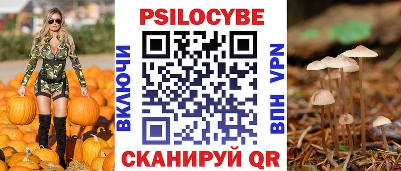 Купить  Добрянка  Псилоцибиновые грибы MAGIC MUSHROOMS 